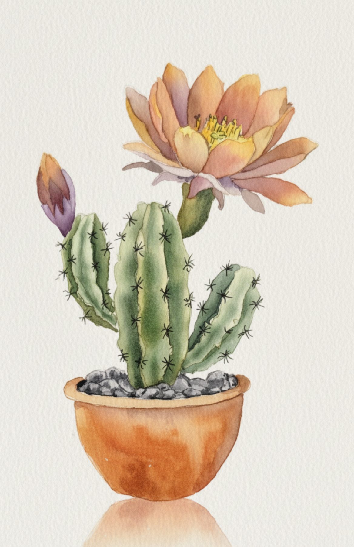 Bloom Where You're Planted, Watercolor, Matted 8″×10″ at Langley Art & Home