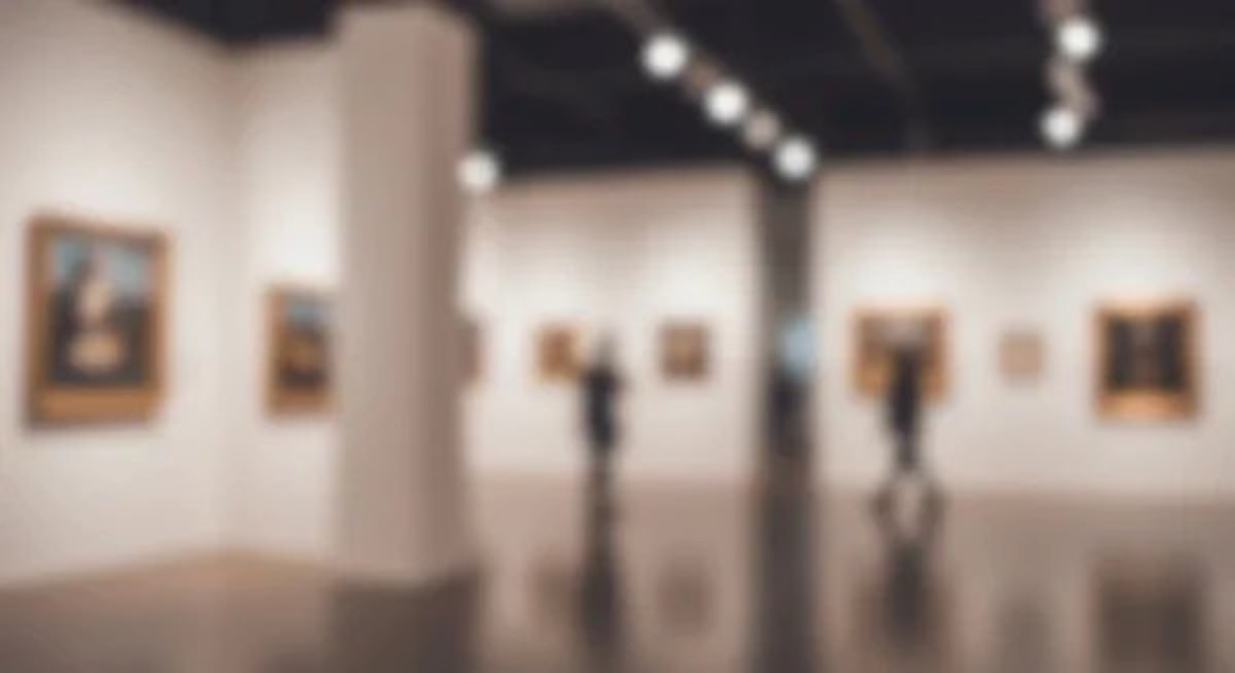 A softly lit art gallery interior