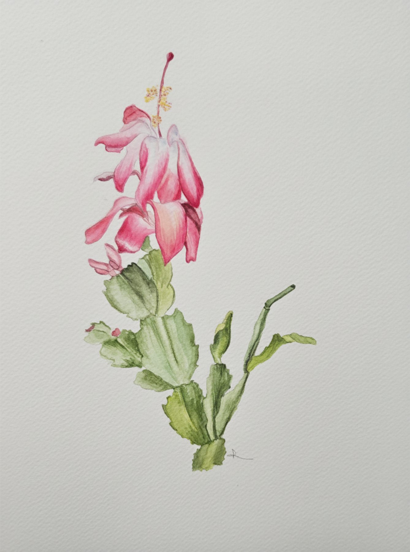 Artwork from the Langley Art & Home collection
