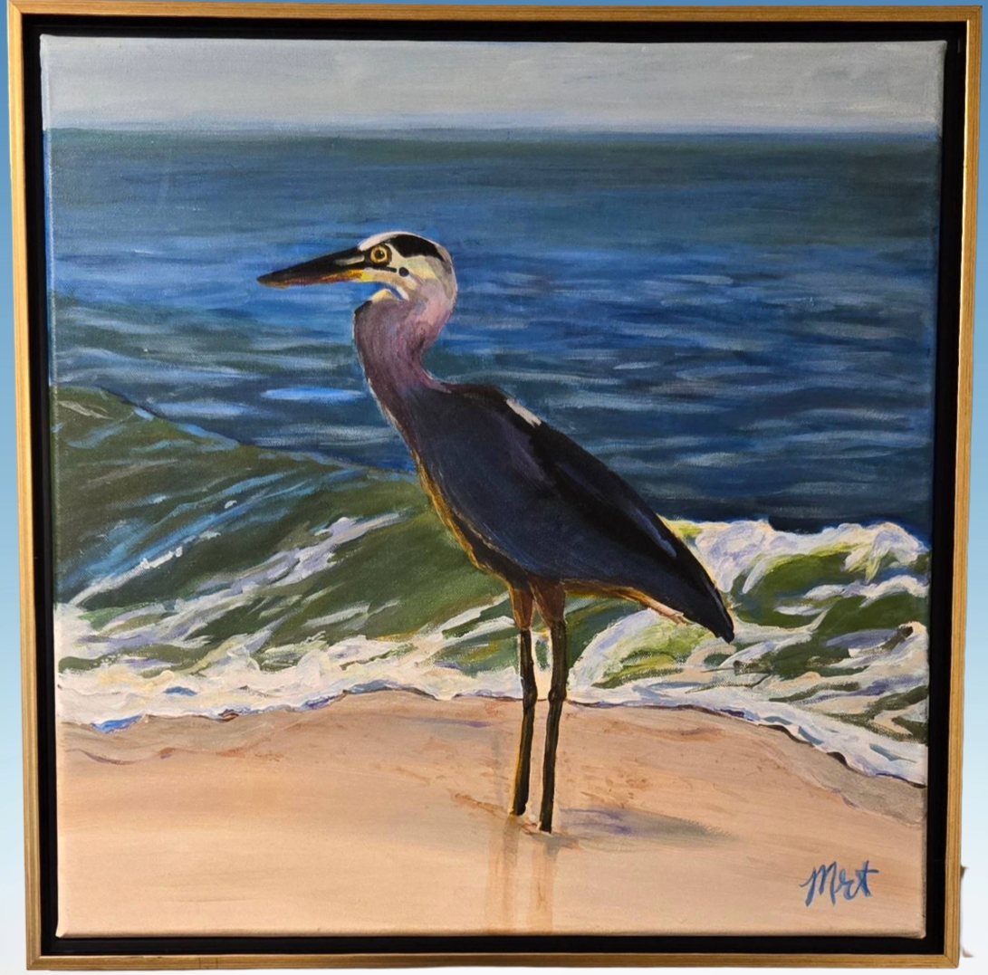 Birds collection