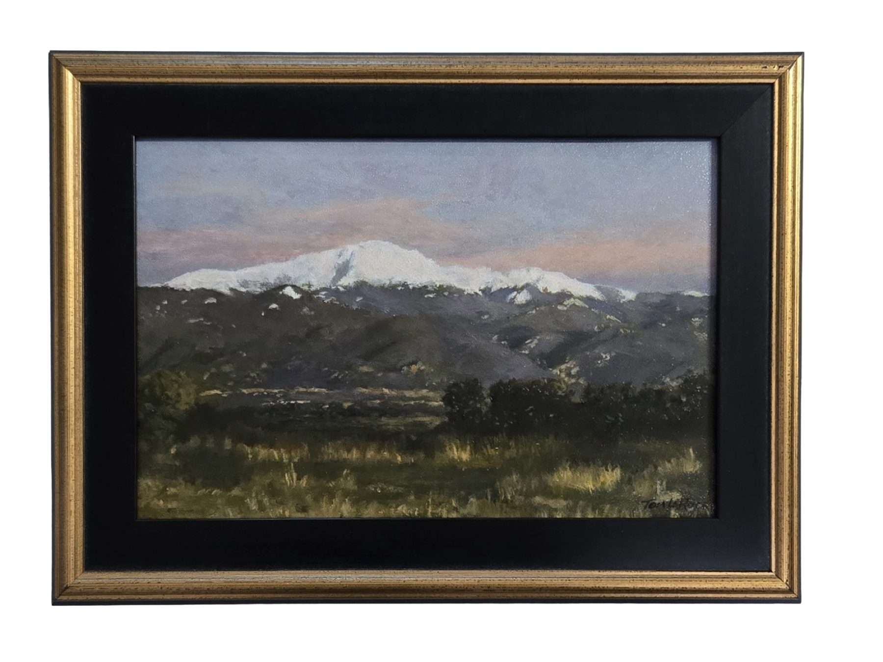 Landscapes collection