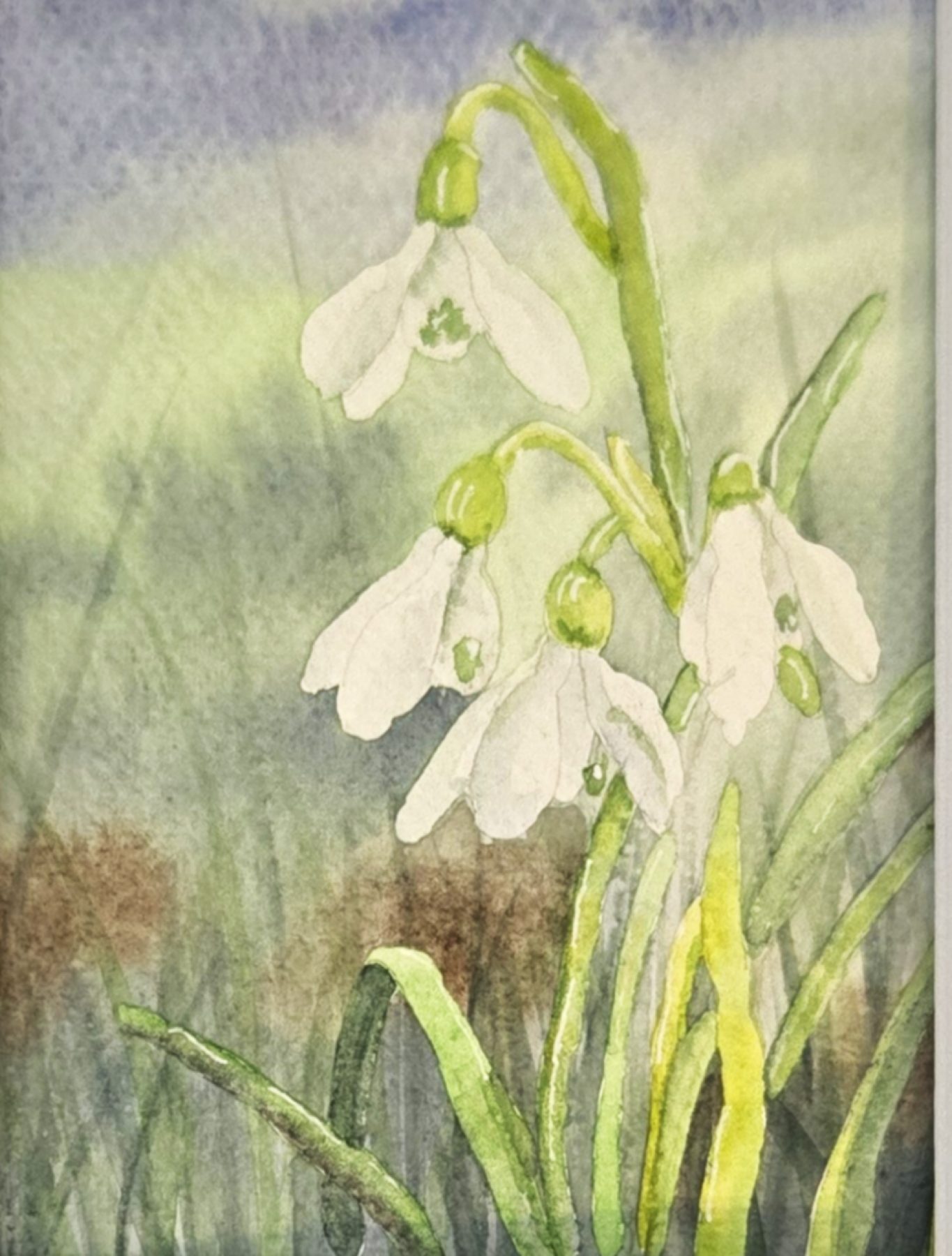 Snowdrops, Watercolor, Matted 8×10 at Langley Art & Home