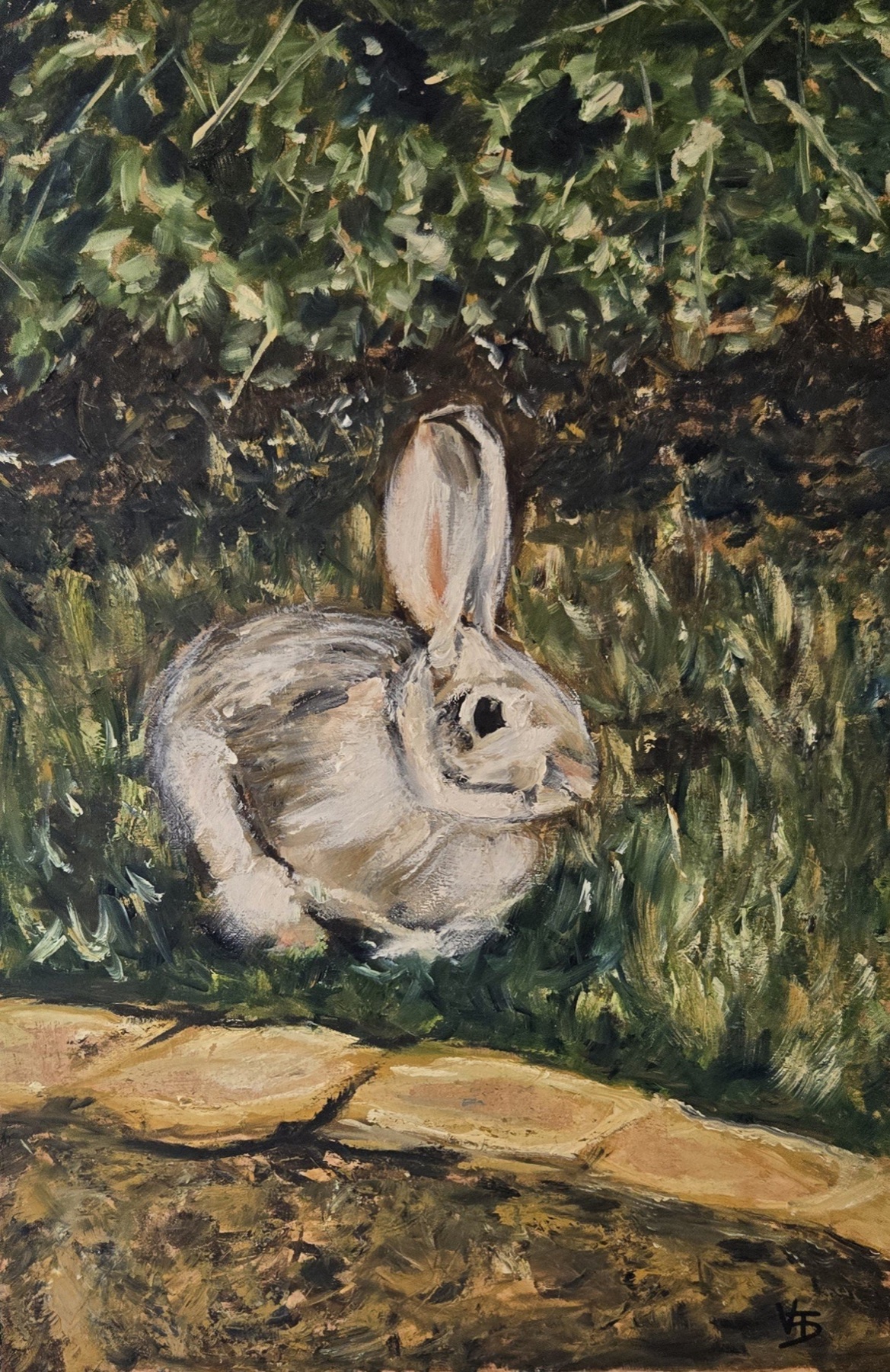 Animals collection